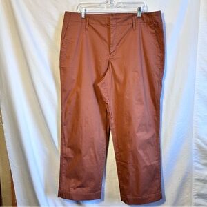 A New Day Elasticized Pants in Warm Brown
